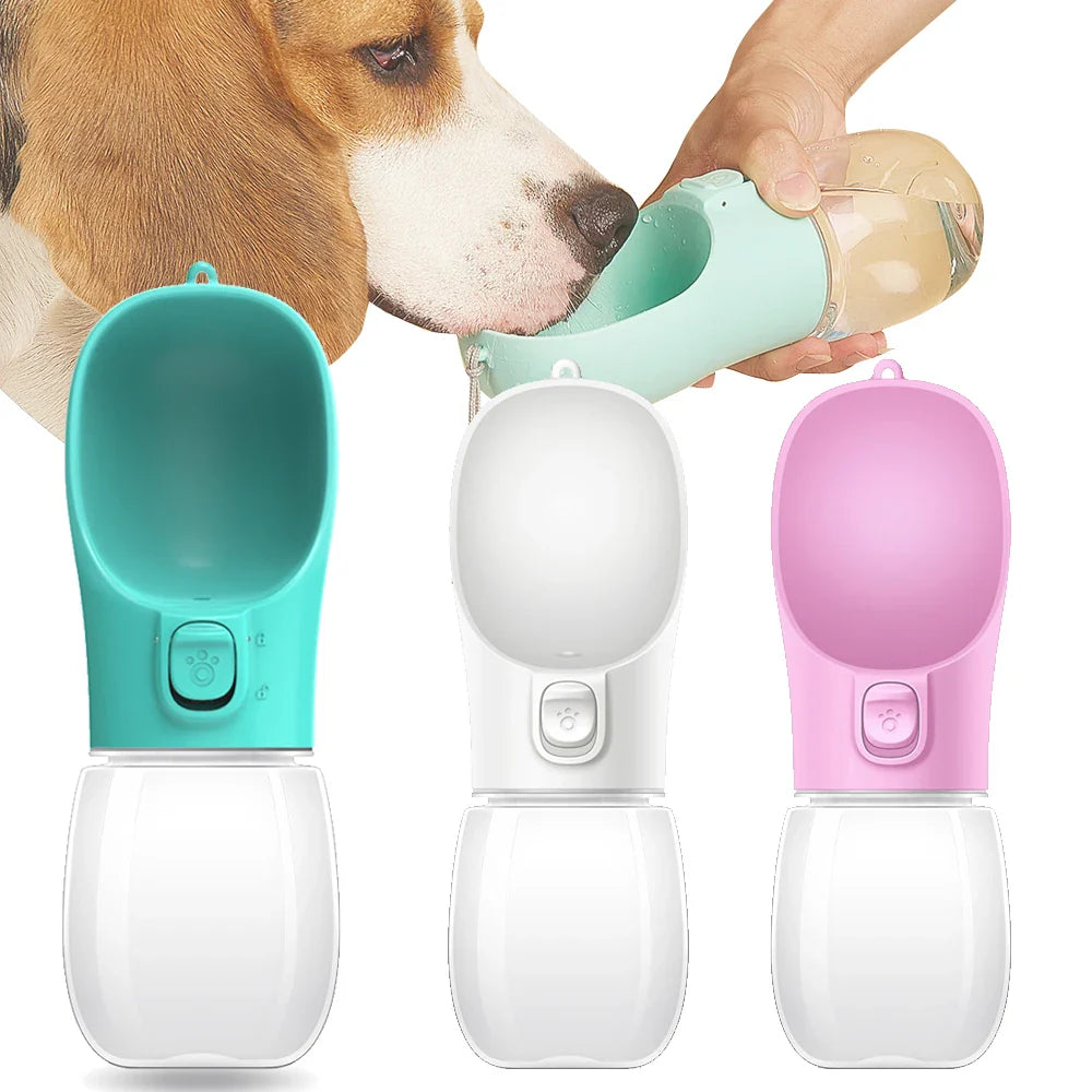 Water Dispensers
